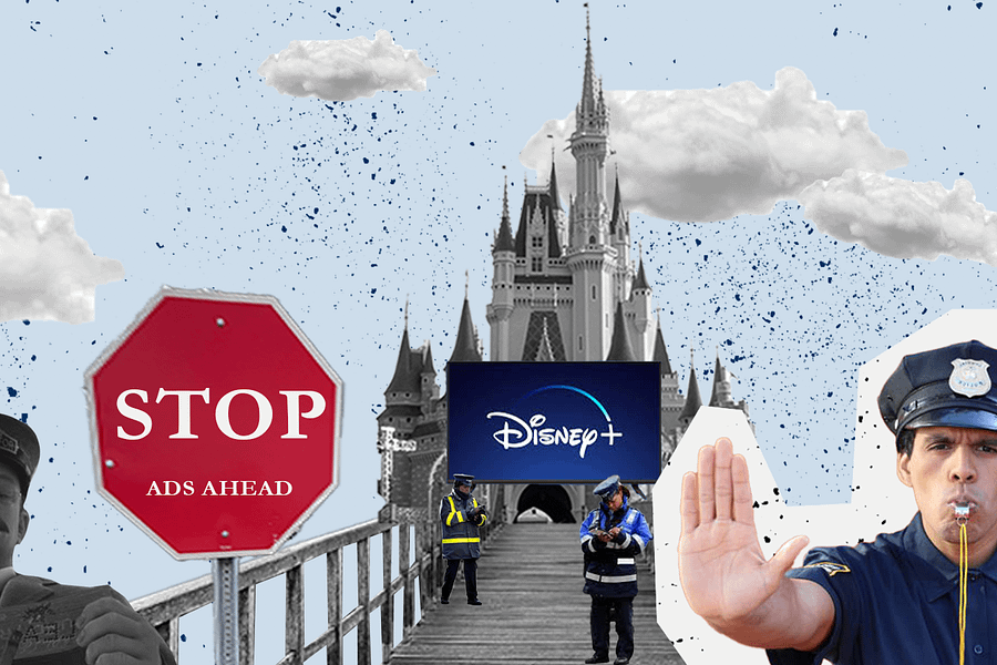 Disney Police